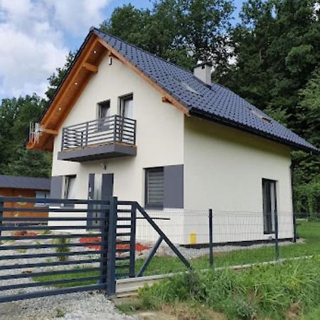 Apartmán Leniowka Ponikiew  Exteriér fotografie